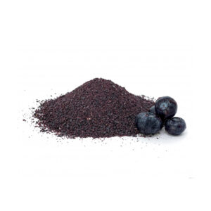 Arandano Polvo  de Fruta